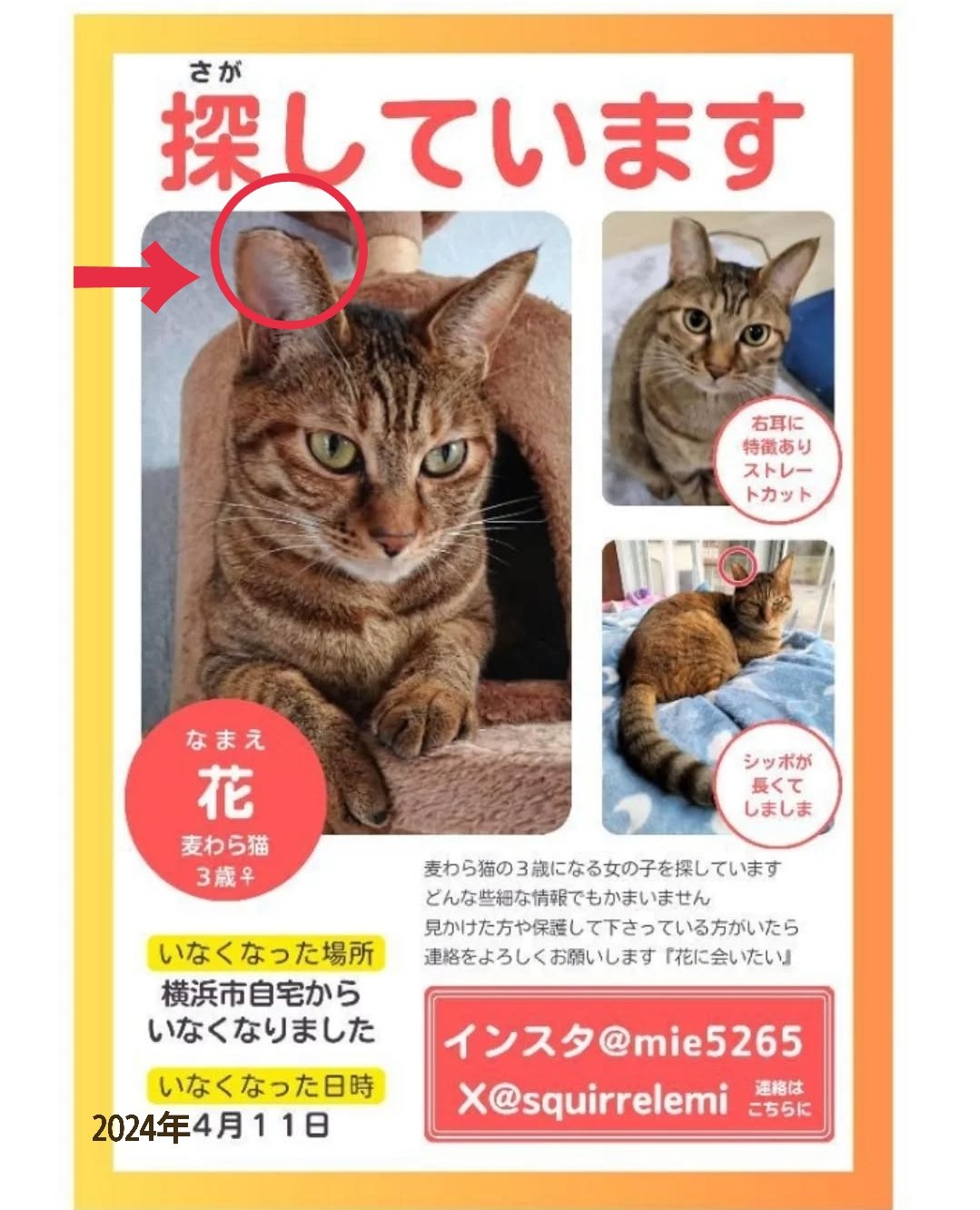 えみ on X: 