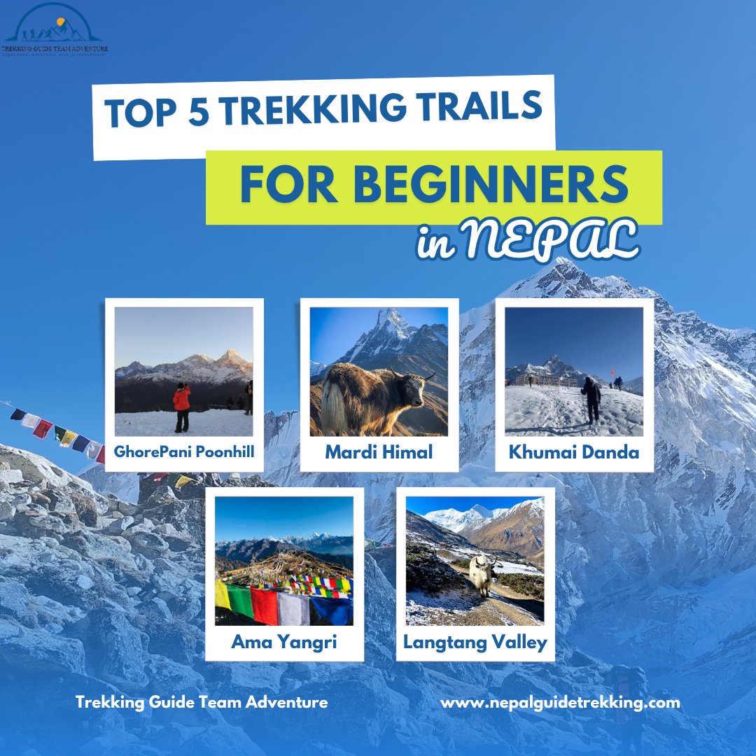 Trekking Guide Team (@trekking_guide1) on Twitter photo New to trekking? Here are the best trails in Nepal for beginners
1.Poon Hill
2.Mardi Himal
3.Khumai Danda
4.Ama Yangri
5.Langtang Valley
Trek with Trekking Guide Team Adventure
WhatsApp: +977 9851229400
Website: nepalguidetrekking.com
Email: info@nepalguidetrekking.com New to trekking? Here are the best trails in Nepal for beginners
1.Poon Hill
2.Mardi Himal
3.Khumai Danda
4.Ama Yangri
5.Langtang Valley
Trek with Trekking Guide Team Adventure
WhatsApp: +977 9851229400
Website: nepalguidetrekking.com
Email: info@nepalguidetrekking.com
