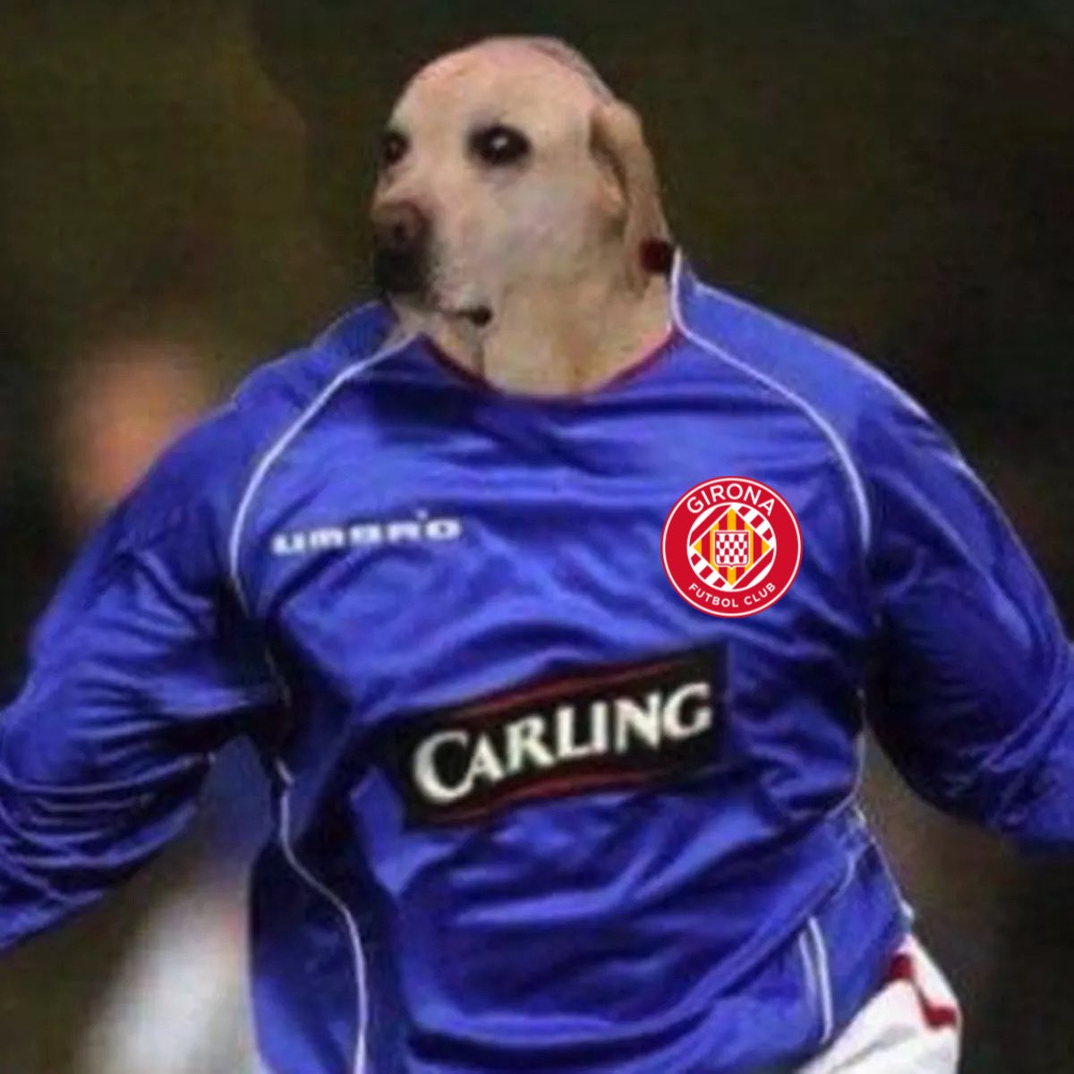 allá va larry larry que la tiene larry que se va larry sigue está está está la rryyyyyyyy……..

golazo

GGGGGUUOOOOOOOOOOOOOOOOOOOL… Larry…. GGGGUUUUOOOOOOOOOL