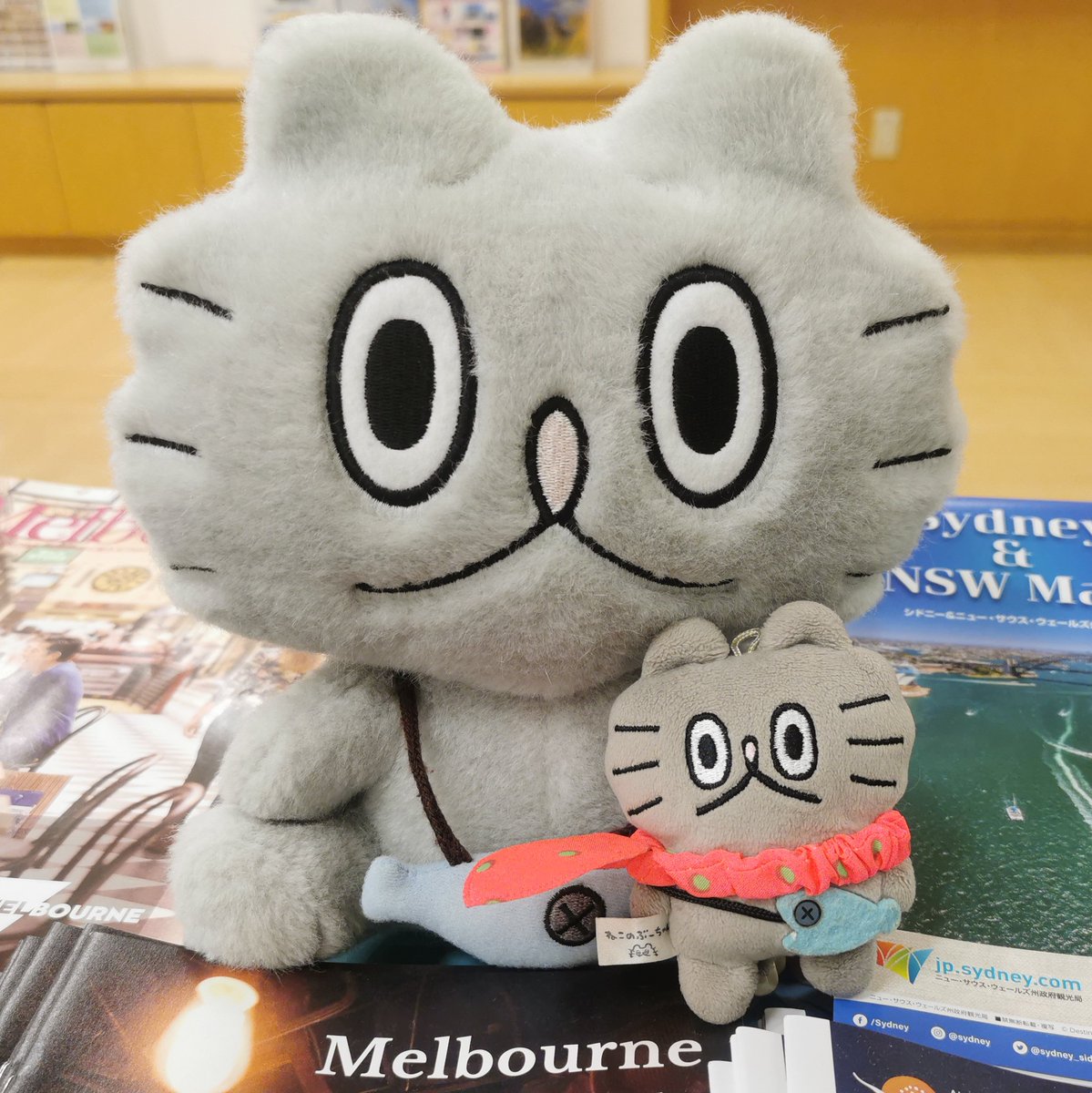ねこのぶーちゃん　ぷっくりパーカー 高橋きの 🐟ねこのぶーちゃん♨️ぶ〜の湯ありがとうご