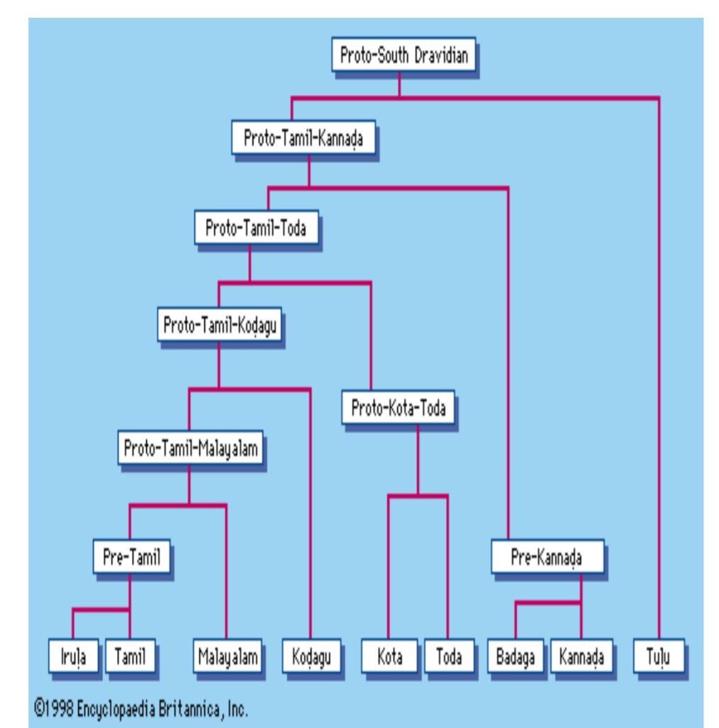 Urbanomics_IN's tweet photo. Origin of #Irula #Tamil #Malayalam #Kodagu #Kota #Toda #Badaga #Kannada & #Tulu Languages
Source: https://t.co/FG9zM31JCE https://t.co/QV98MKdyZu