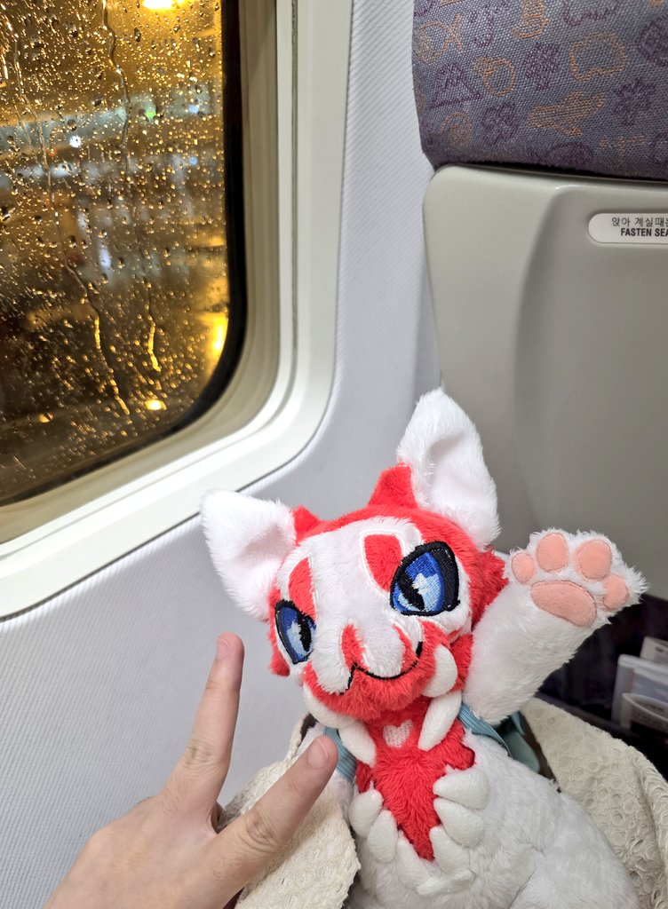 ✈️