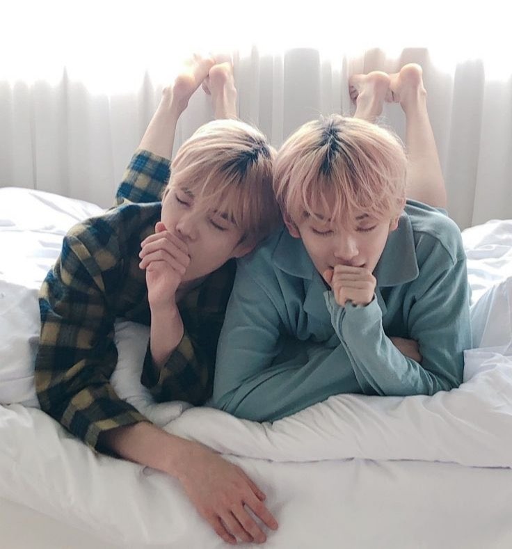 cerise⁺¹⭒˚.⋆ ≽^• ˕ • ྀི≼ tweet media