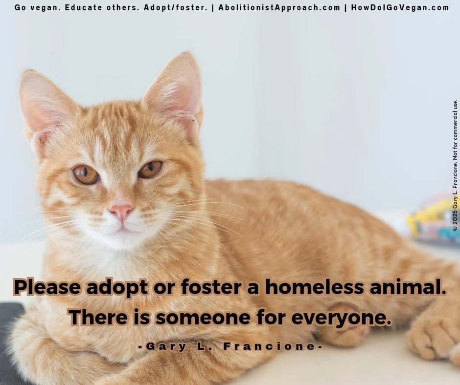 AbolitionistApproach.com
HowDoIGoVegan.com