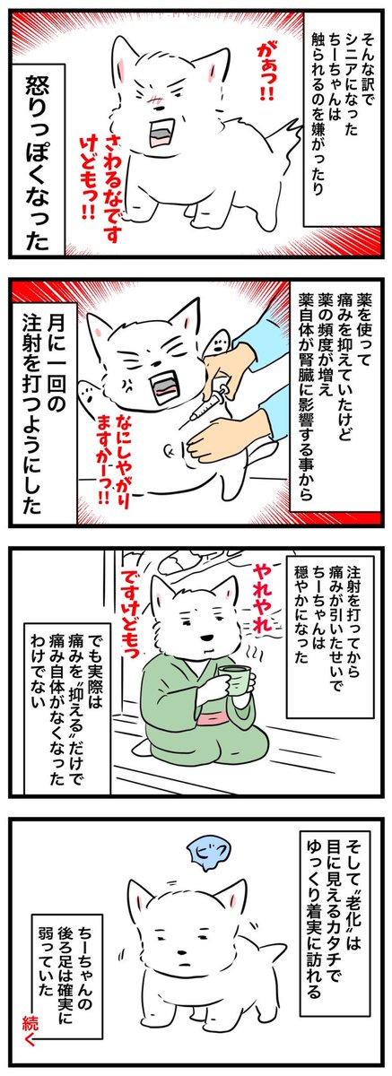 🐶ちーちゃんですけどもっ第944話🐾

「馬尾症候群①」

続きはブログにて！↓

cheezu.blog.jp/archives/28180…

#ウェスティ
#ちーちゃんですけどもっ
#犬漫画
#シニア犬
#かわいい
#コミックエッセイ