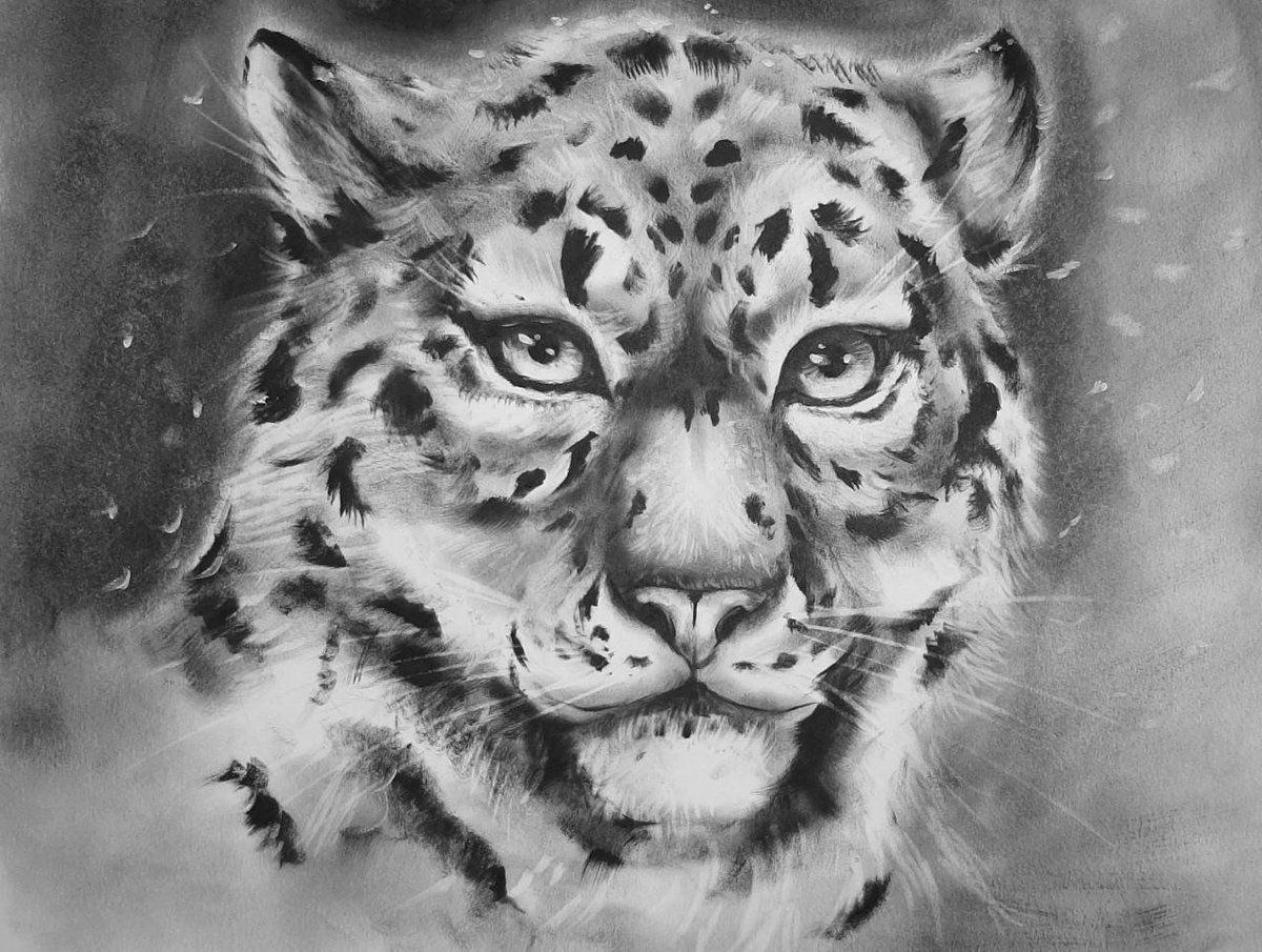 LionSkyey's tweet photo. Once upon a time there was paint, old and boring. Many people didn't like it, and in some places it was even banned. 😢
Fair? I don't think so, and today I tried a new technique with it 😋
#skyeylion #traditionalart #irbis #snow_leopard #oilpainting https://t.co/p7QVzws4dZ