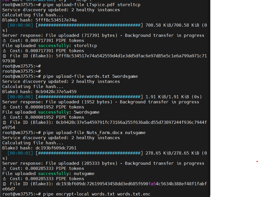 Think Web3 is just crypto &amp; NFTs? 😏 
Meet Pipe Network — true digital freedom: own your ID, control your data, chat P2P with zero Big Tech 👀
Deployed Firestarter in 2 clicks — lightning fast ⚡ 
No bugs, just magic.
Try it yourself! 🔥
#Solana #PipeNetwork #Firestarter