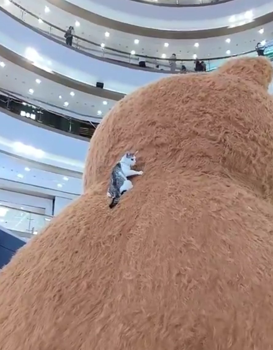 ก็ว่าคุ้นๆ