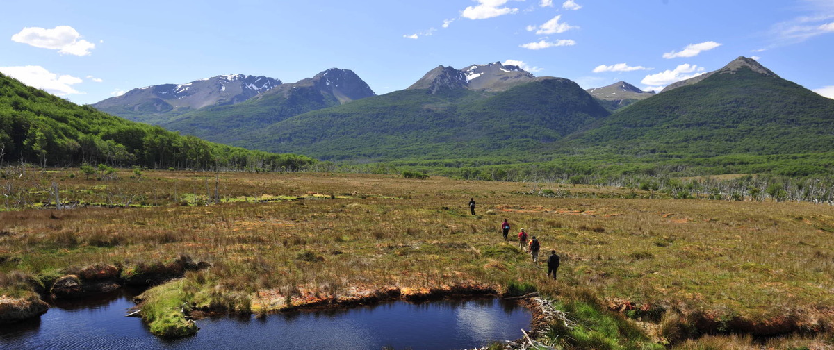 ClimatePals's tweet photo. 🇦🇷 The Tierra del Fuego Peatlands, Southern Argentina’s carbon sink, deliver $20M/year in ecosystem services! 🫒

🌲Spanning over 270,000 ha., It stores 315 Mt CO2 and support penguins, guanacos, and sphagnum moss. It is vital for climate regulation and ecotourism, also holding a vast water reserves.🐧 
🧳Tourism pressure, invasive species (e.g., beavers), warming, and climate change threaten their balance.🫒 

#Biodiversity #Conservation #TierraDelFuego #CO2
#Ecosystem #Carbon #Penguins #Guanacos #Moss #Sphagnum #ClimateRegulation #EcoTourism #Water #InvasiveSpecies #Tourism #Beavers #Warming #ClimateCrisis #ClimateAction #ActNow #Argentina #Argentinas #SouthAmerica