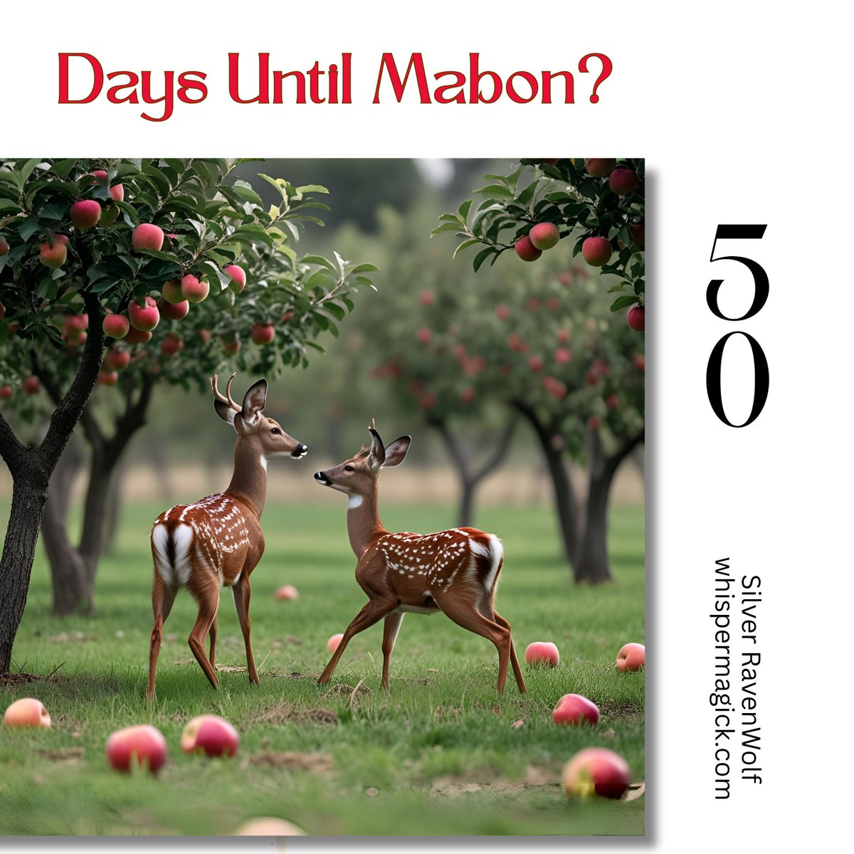2nd Qtr Sagittarius Moon puts bounce into your plans. A delightful power day with plenty action and movement. Socialization a plus. With Mars trundling through Virgo you may be concentrating on repairs, household and personal organizing, or prep for autumn/winter activities.
