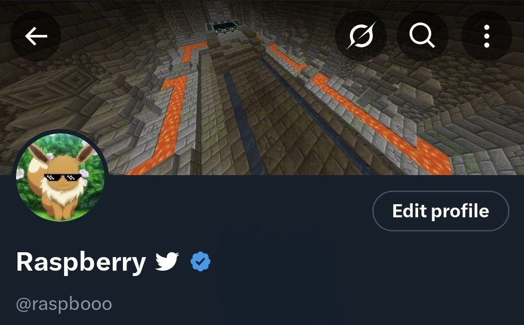 raspbooo's tweet photo. this is what my profile would look like if i had twitters premium subscription https://t.co/dhDs14V3WQ