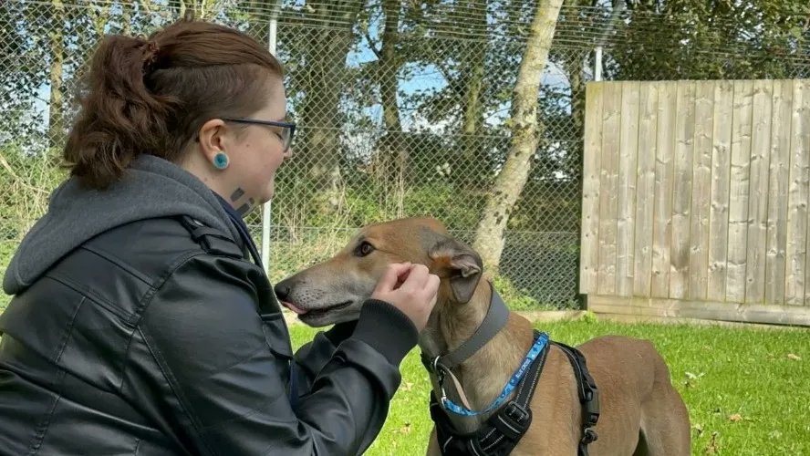 I just received a contribution towards 1 Month Food for Lucian from omsx8o via Throne. Thank you! throne.com/hozzerino #Wishlist #Throne