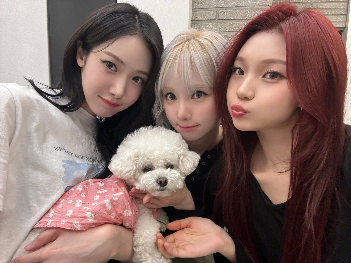 [#VIVId_dayZ] 📸

250803 팬사인회 완료✨

비비지 팬사인회가 아니라 비비지앙 팬사인회🐶💝 나비들이 다른 강쥐한테 눈 돌려도 오늘은 용서해 줄게😌

#VIVIZ #비비지
#EUNHA #은하 
#SINB #신비
#UMJI #엄지
#A_Montage_of_() #La_La_Love_Me