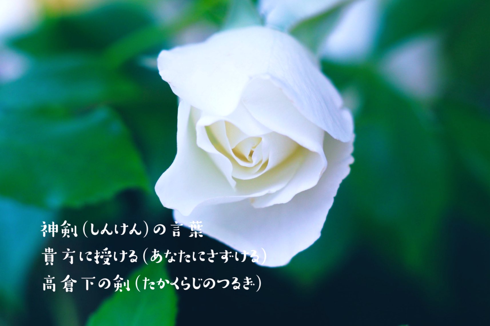 aimomo 𓈒𓏸𑁍 on X: 