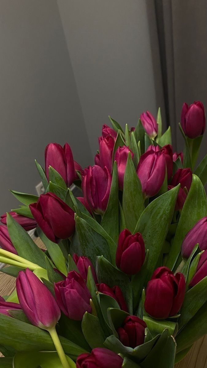 Only Tulips (@tutututututulip) on Twitter photo 