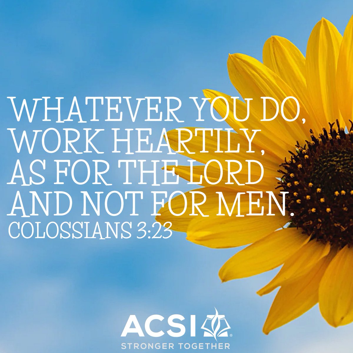 Whatever you do, work heartily as for the Lord and not for men.
Colossians 3:23