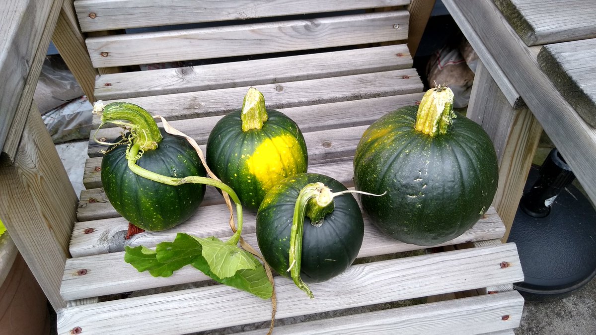 Rob Hyde tweet media