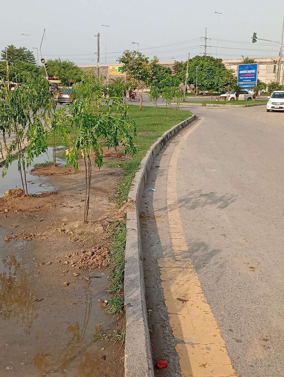 Abdulmannanjrcs's tweet image. لاہور میں عزیز بھٹی روڈ رنگ روڈ انٹرچینج کے قریب شجر کاری محم، عوام کے تعاون شروع۔۔
#GreenLahore #GreenPakistan #CleanGreenPakistan @GovtofPunjabPK @CMShehbaz