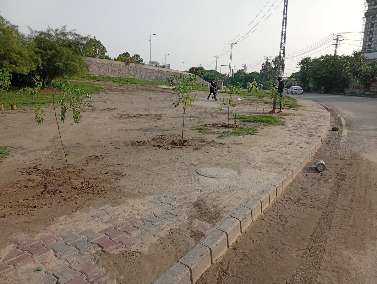 Abdulmannanjrcs's tweet image. لاہور میں عزیز بھٹی روڈ رنگ روڈ انٹرچینج کے قریب شجر کاری محم، عوام کے تعاون شروع۔۔
#GreenLahore #GreenPakistan #CleanGreenPakistan @GovtofPunjabPK @CMShehbaz
