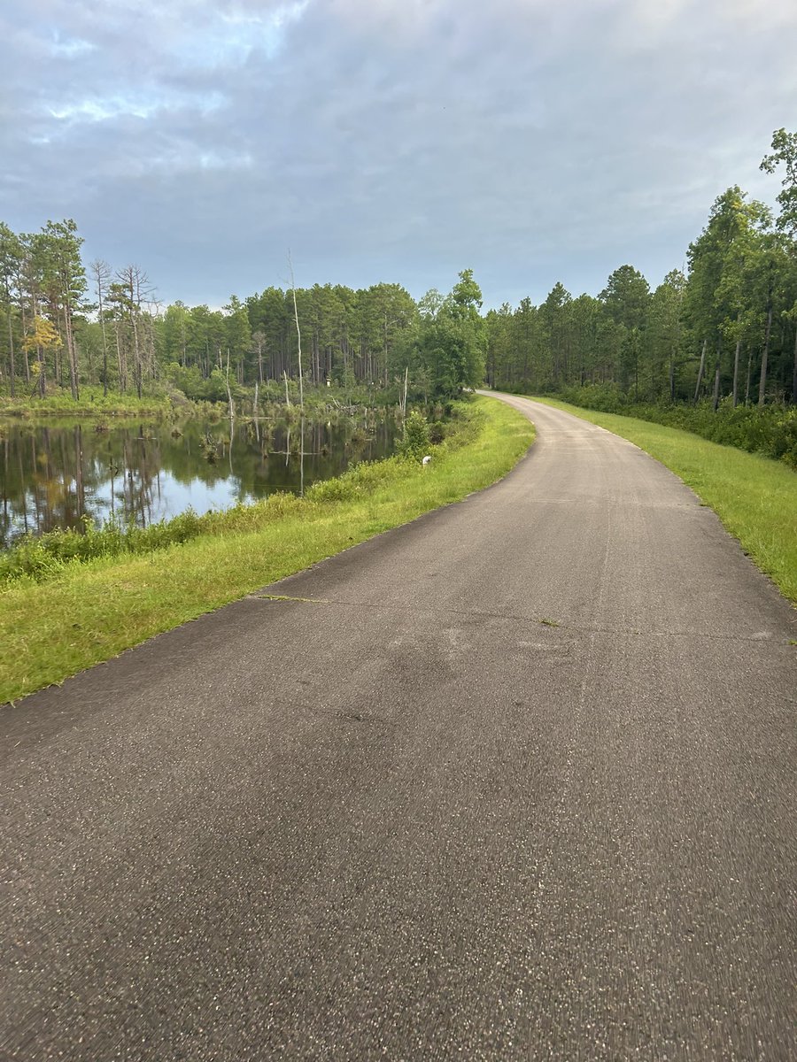 Chris Lloyd tweet media