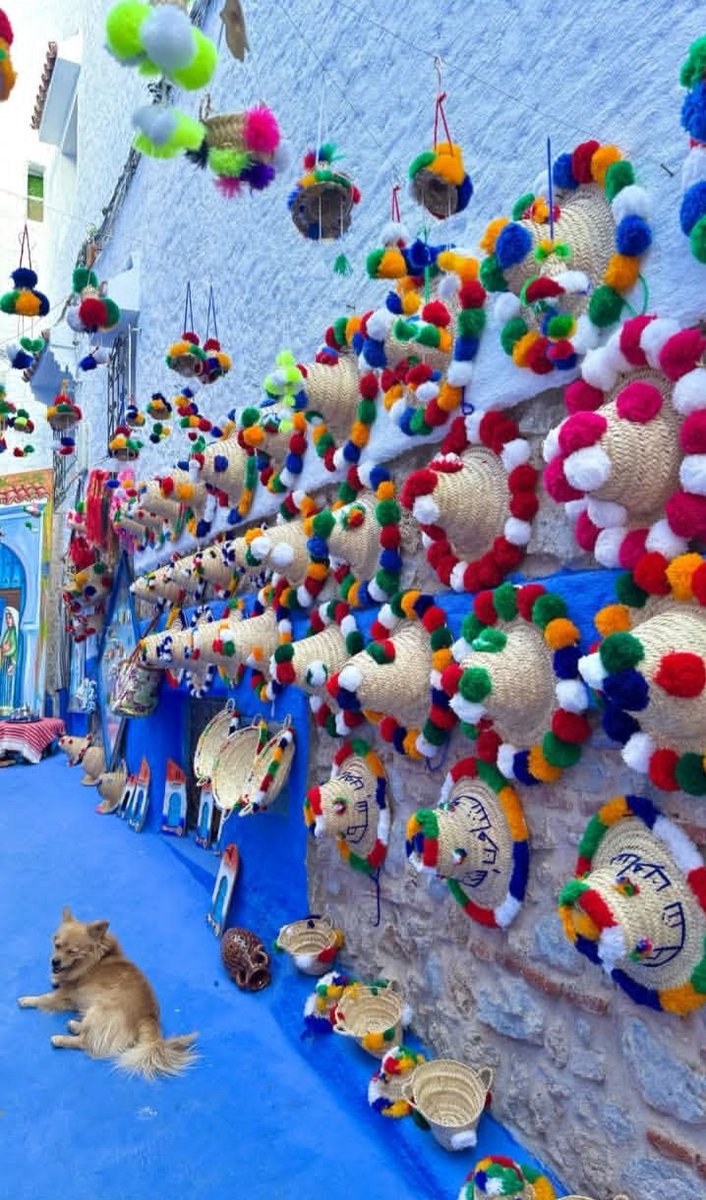 TrtTa241606's tweet photo. Chefchaouen... The Capital of Blue Beauty and the Magic of the Moroccan Rif❤️🇲🇦💙
https://t.co/U83k07rF1p 
#Chefchaouen #BlueCity #MoroccoTravel #RifMountains #MoroccanBeauty #VisitMorocco #HiddenGems #BlueMagic #SoMorocco #ChefchaouenVibes https://t.co/Eap7DtLCxU