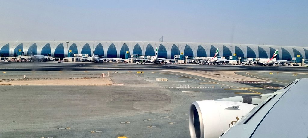 Javier Ortega Figueiral tweet media