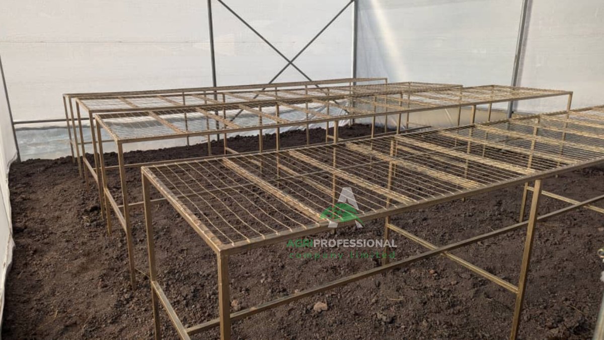 AgriProfession's tweet photo. Kampuni sahihi kwako wewe mkulima ni AGRIPROFESSIONAL COMPANY LIMITED.
Tupo tayari kukuhudumia popote pale ulipo.

Wasiliana nasi leo

info@agriprofessional.co.tz
https://t.co/8GzldeDkLm 

0654357571
0695537571
0756457421

#WE_ARE_OF_PROFESSIONAL_GRADE https://t.co/YmhFKdATuO