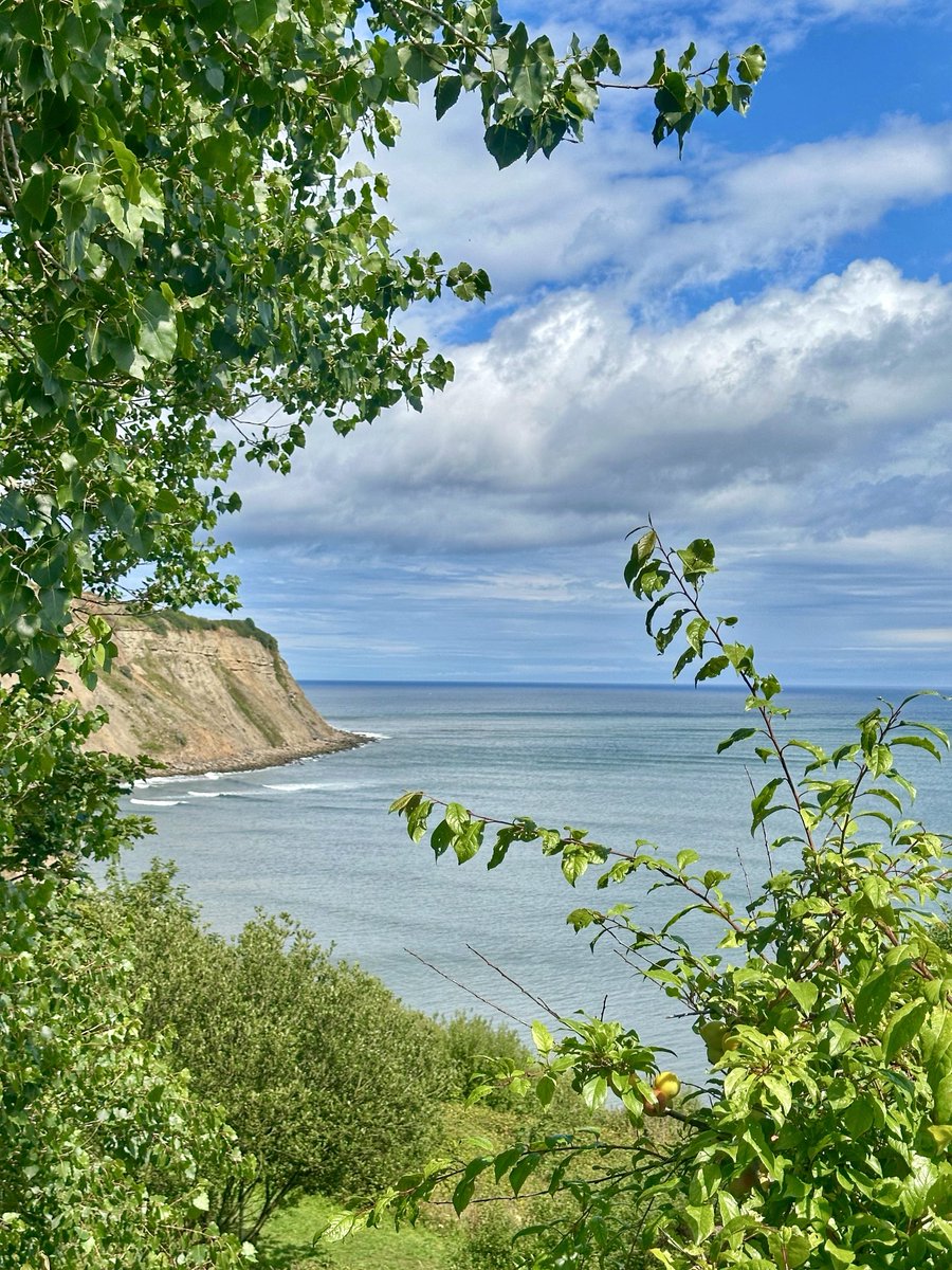 Ian Gee (@iangee19) on Twitter photo The journey down from #Teesside to lovely Robin Hood’s Bay in North Yorkshire was blighted by low cloud and rain but within ten minutes of arriving, the sky started to clear, giving us some warm sunshine. <a href="/StormHour/">#StormHour</a> <a href="/ThePhotoHour/">#ThePhotoHour</a> #NorthYorks The journey down from #Teesside to lovely Robin Hood’s Bay in North Yorkshire was blighted by low cloud and rain but within ten minutes of arriving, the sky started to clear, giving us some warm sunshine. <a href="/StormHour/">#StormHour</a> <a href="/ThePhotoHour/">#ThePhotoHour</a> #NorthYorks
