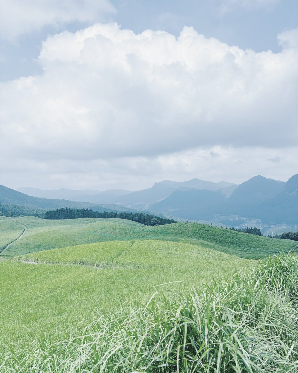 遠くの美しい高原 すべてがよかった