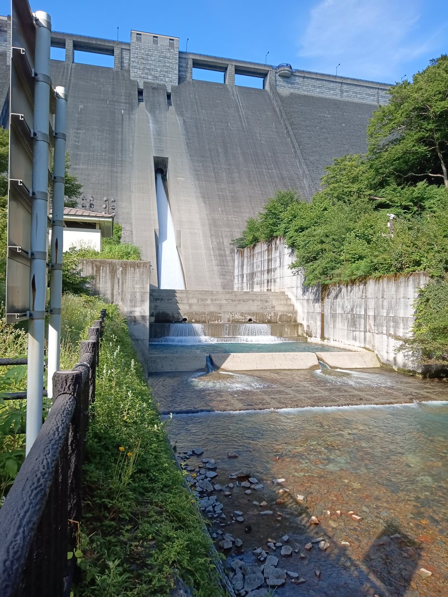 YBaaAaaAaaAaaN's tweet photo. 大学のサークルの人達やアオカナブンに何年ぶりかに会えた良い夏休みだった https://t.co/Yx0PhHuHce