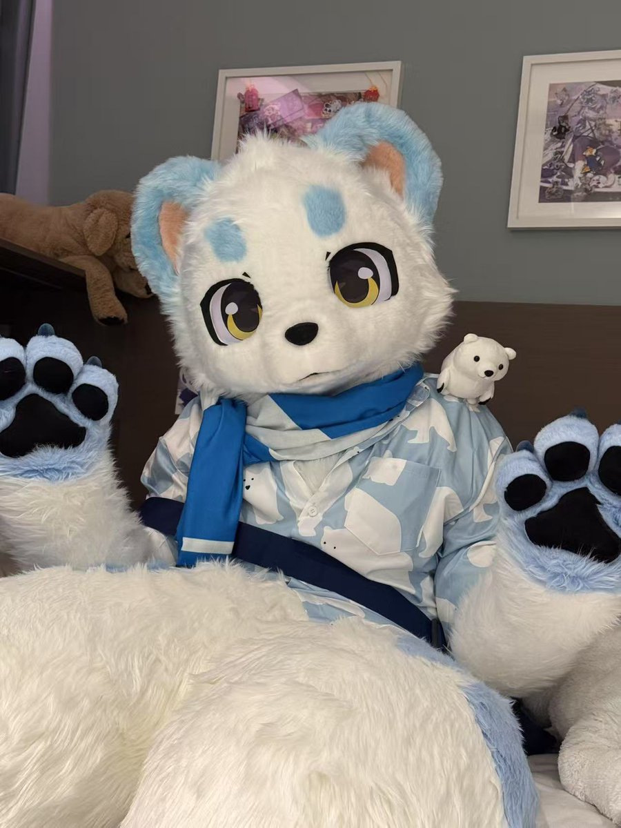 诺獭熊 tweet media