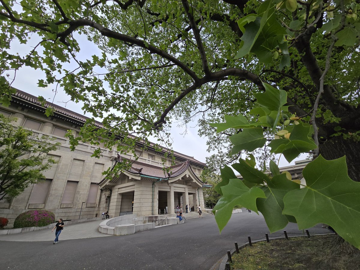 kuwasan🧝🚴 on X: 