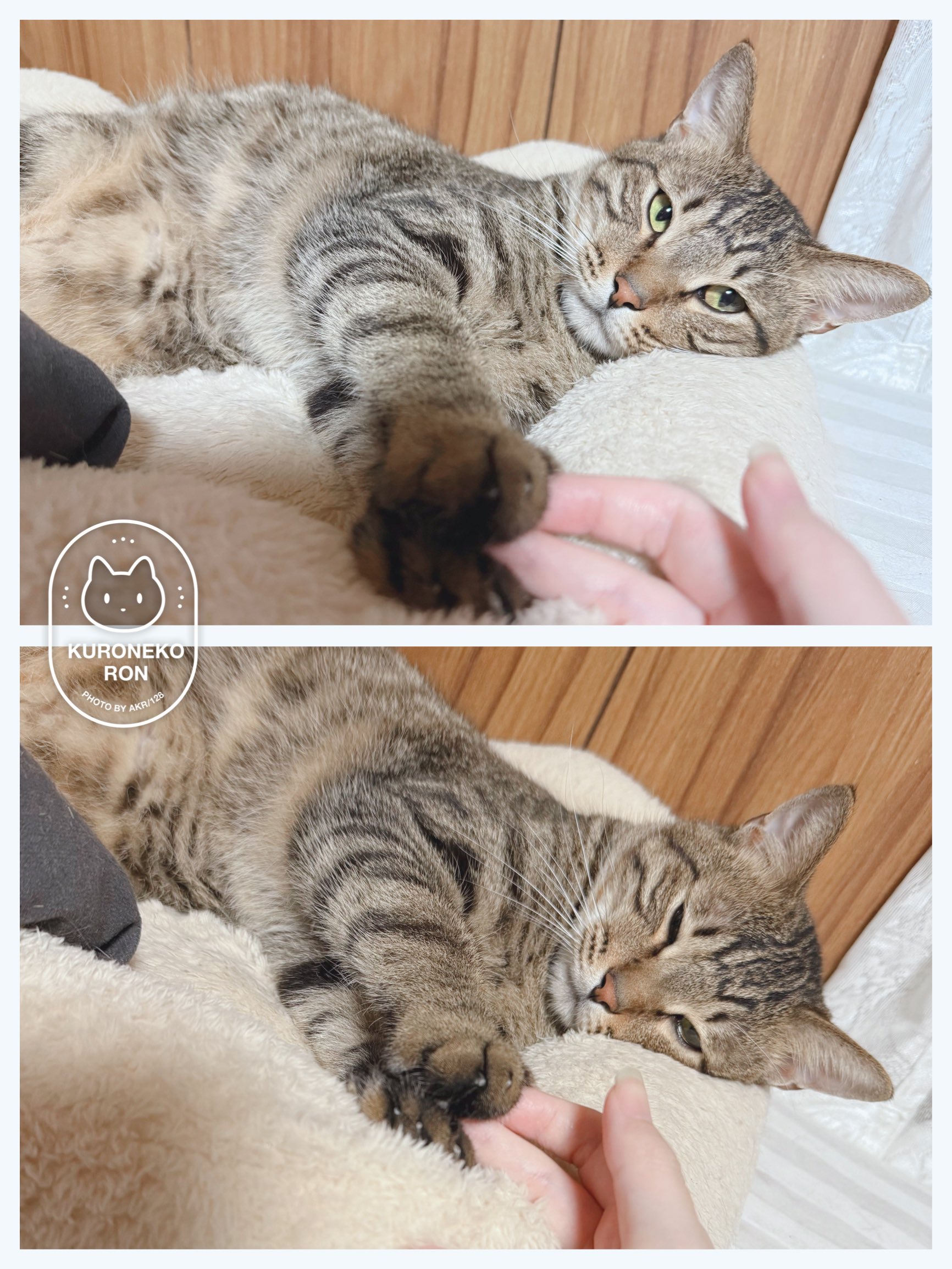 ❤️ akr＊さま❤️ AKR｜7巻でたよ on X: 