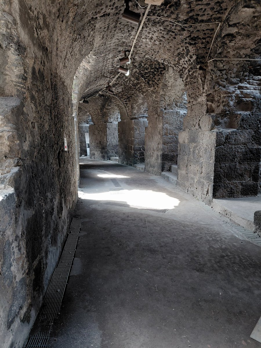 ssc.president emeritus tweet media