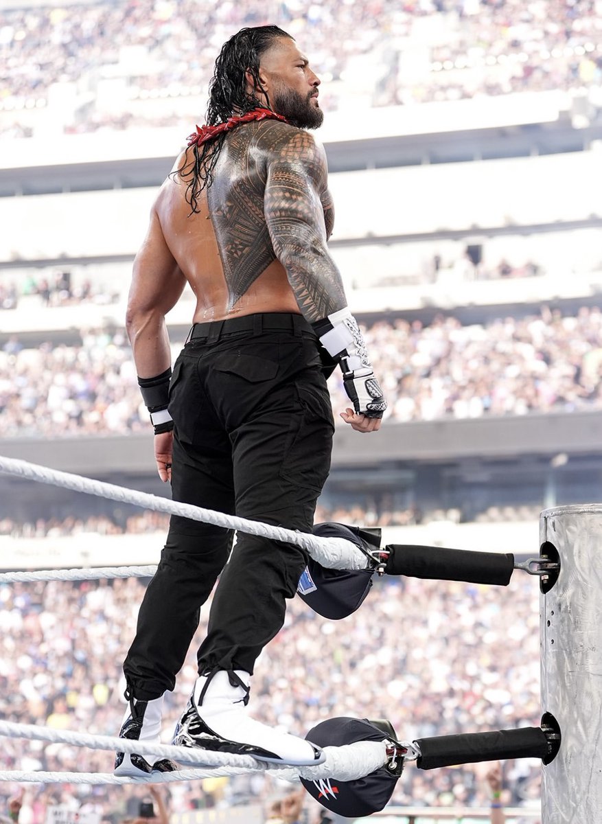 _RomansLegacy's tweet image. This is what greatness looks like! 

#RomanReigns 🔥