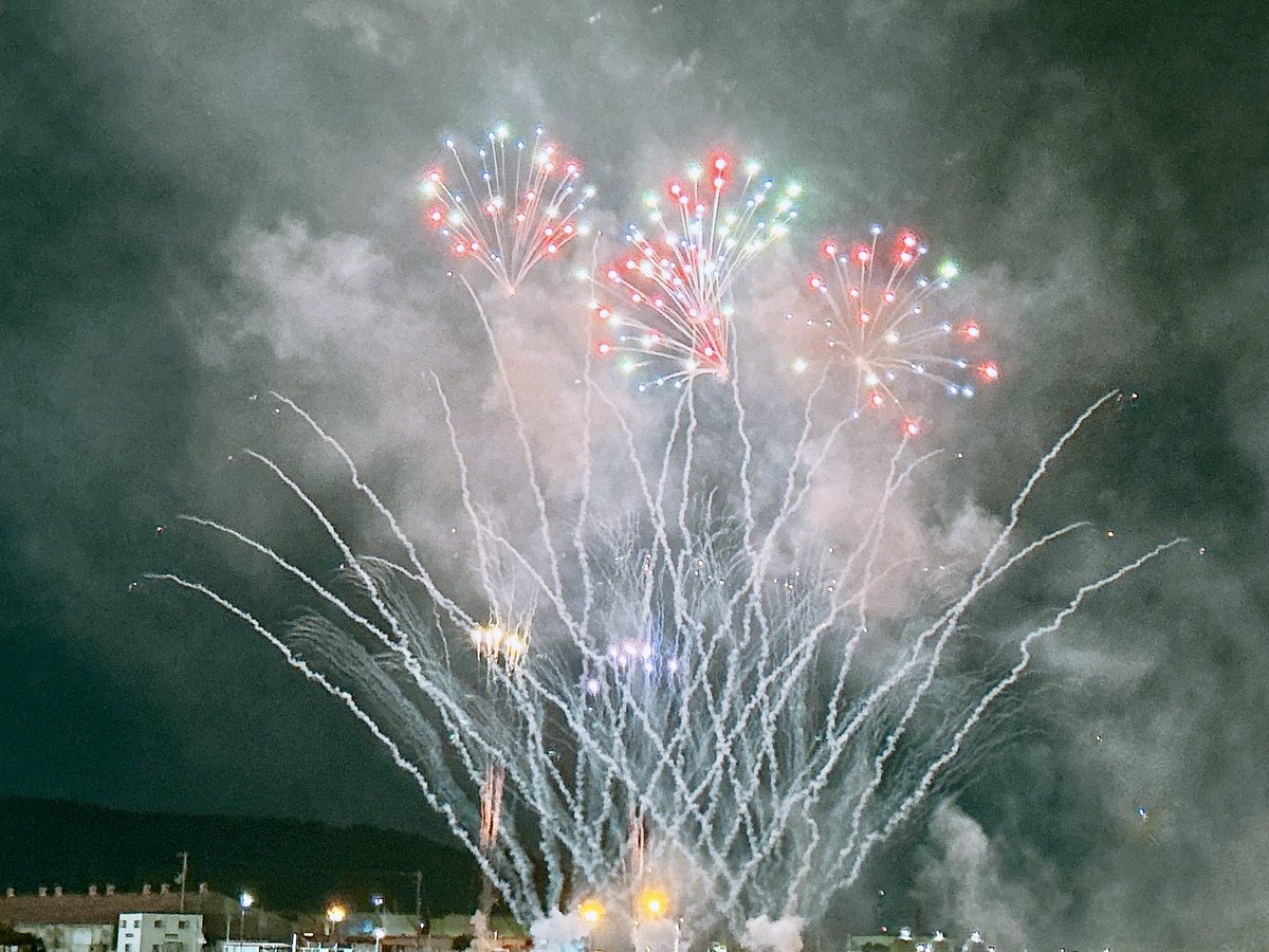 三津浜花火大会(2回目)

とても綺麗で感動した〜