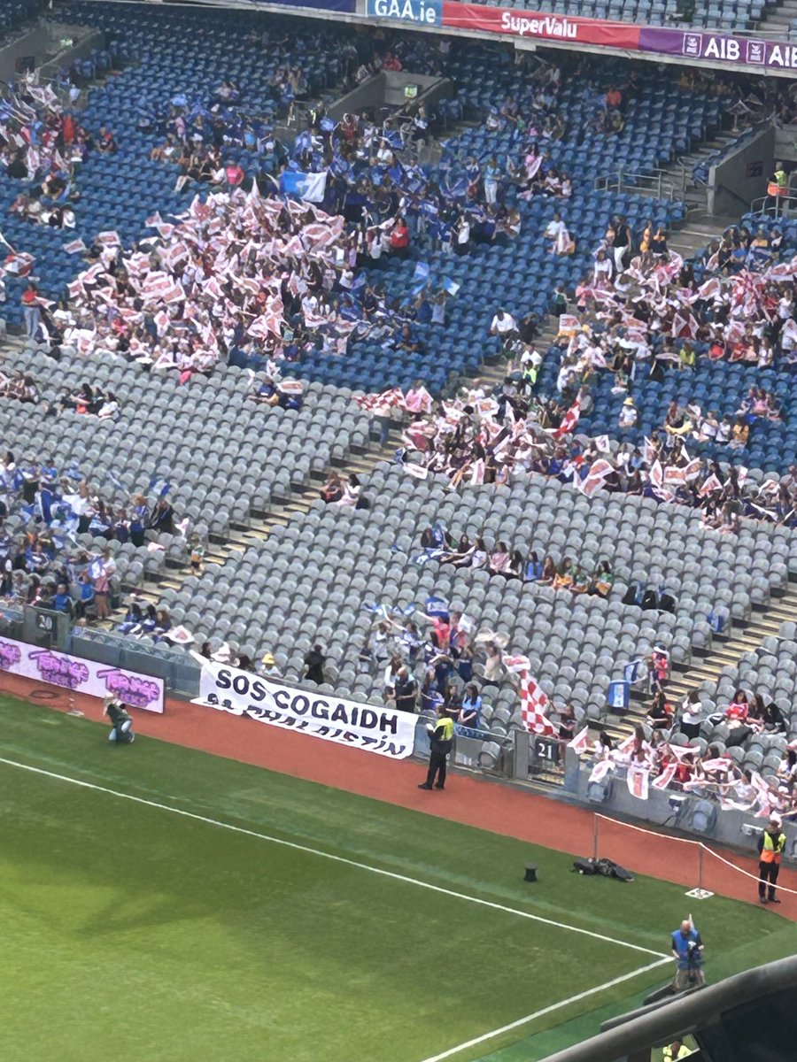 clíona foley tweet media