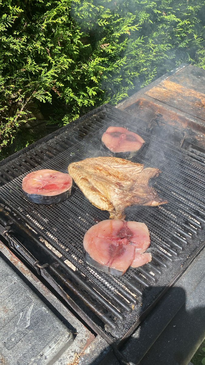 Batman en casa aprovechando que hace sol.
