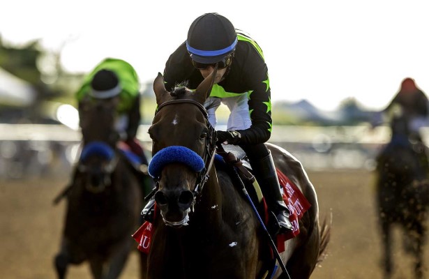 A star on the rise. ✨
With her Grade 1 win Saturday at Del Mar, Seismic Beauty stamps herself as elite player for <a href="/BreedersCup/">Breeders' Cup</a> Distaff. Brian <a href="/Zipseatthetrack/">Brian Zipse</a> has more in his Sunday column.
horseracingnation.com/blogs/zatt/Sei…
📸 <a href="/DelMarRacing/">Del Mar Racetrack</a> / <a href="/benoitphoto_/">Benoit Photo</a>