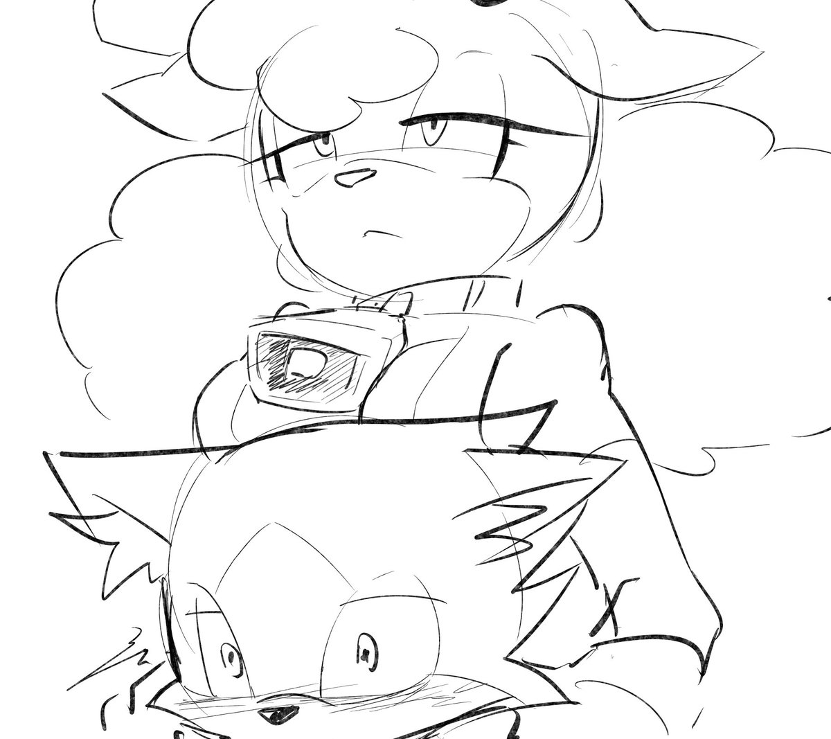 weizhangY_rx's tweet photo. #sonicthehedgehog #duothecat #duolin #lanolinthesheep #duoxlanolin 给女友的 https://t.co/t7ZWIbTPpd