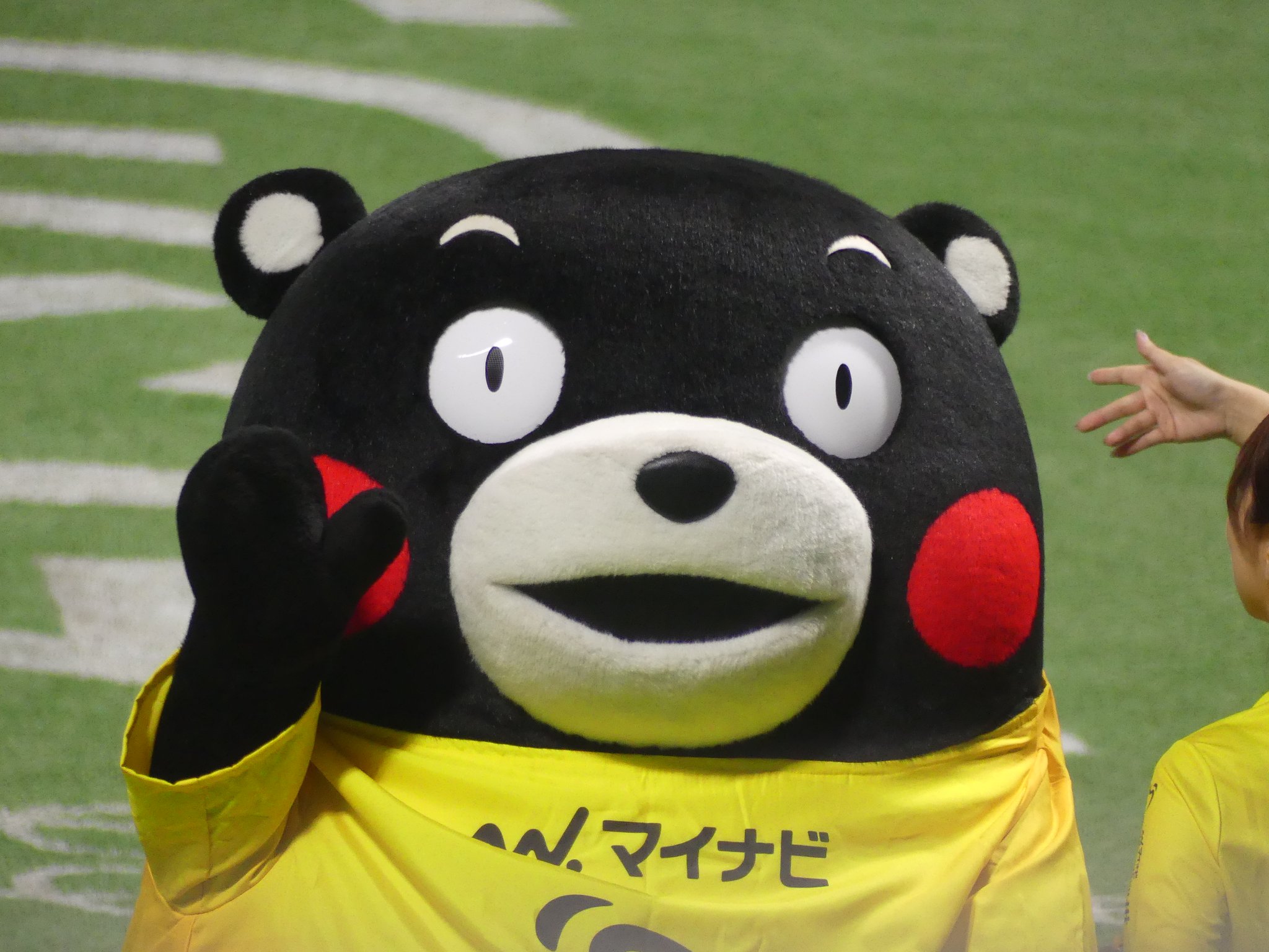 くまモンになりました くまモン【公式】 on X: 