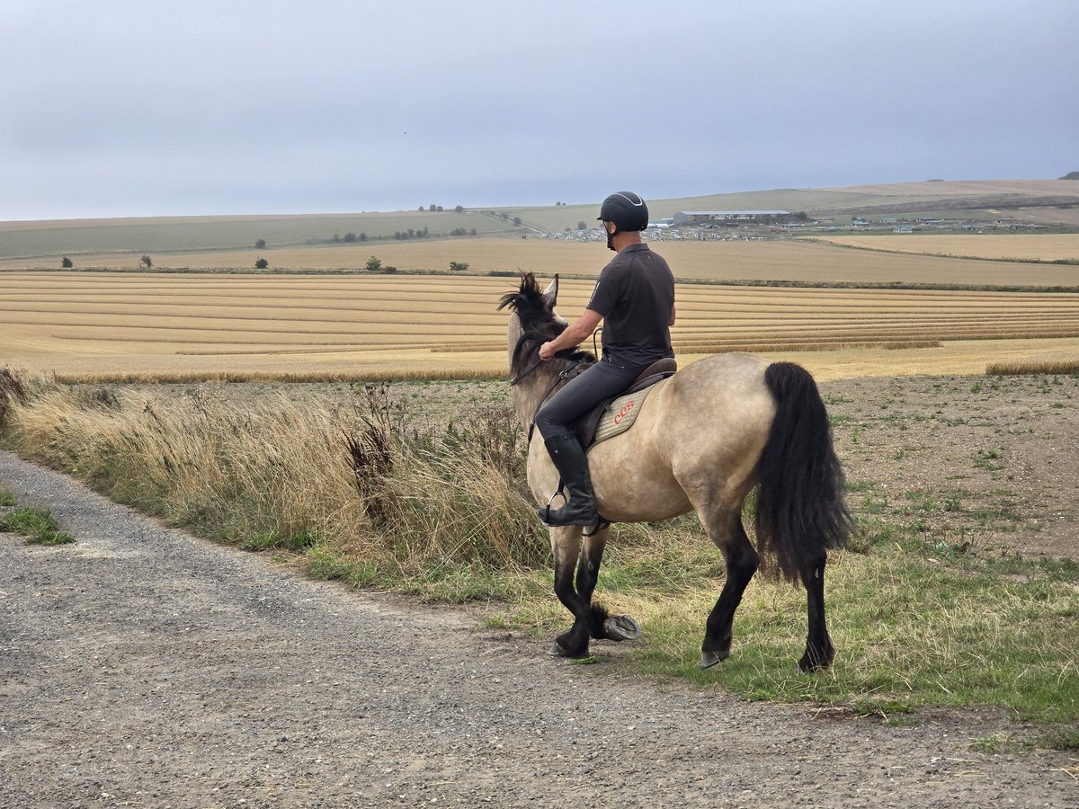 Walk_Wiltshire's tweet image. A 9.5-mile recce from Bishop’s Cannings to The Gallops, full of discovery—Roman roads, tumuli, long barrows &amp;amp; a surprise deer sighting 🦌 Thanks Debbie for the early start &amp;amp; great company! #WalkWithMe #VisitWiltshire #WeekendWalks #GoOutdoors #timeforwiltshire