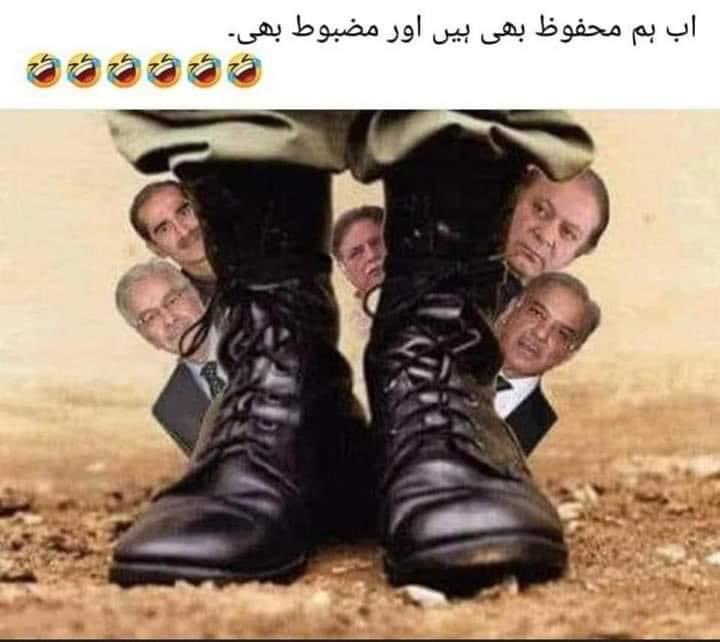 امؔ یحیی tweet media