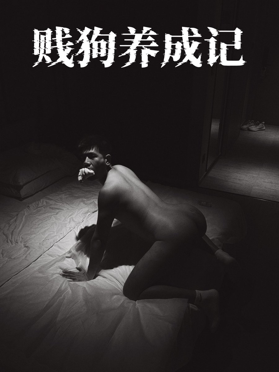 H-狼狗阿奇 tweet media