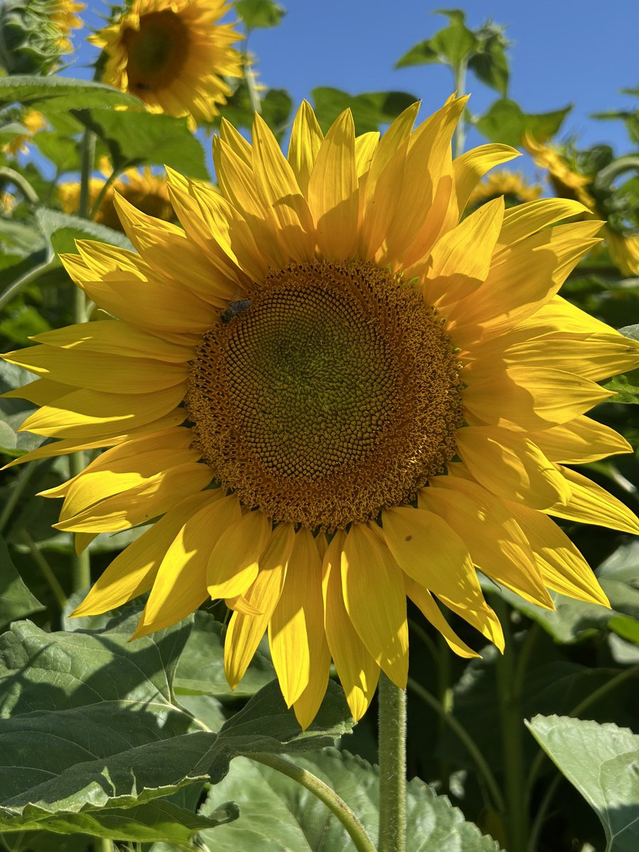 I’m back, 🙂 happy weekend!