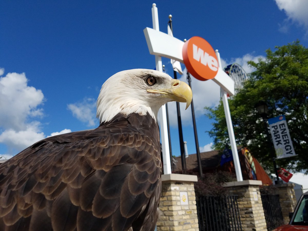we_energies's tweet image. See feathered friends  and other animals up close and learn about their habits, habitats and history from @SchlitzAudubon at We Energies Energy Park at the @WiStateFair 

Daily: 10:15 a.m., 11:30 a.m., 1:15 p.m., 2:30 p.m.
we-energies.com/partners/energ…
#WiStateFair