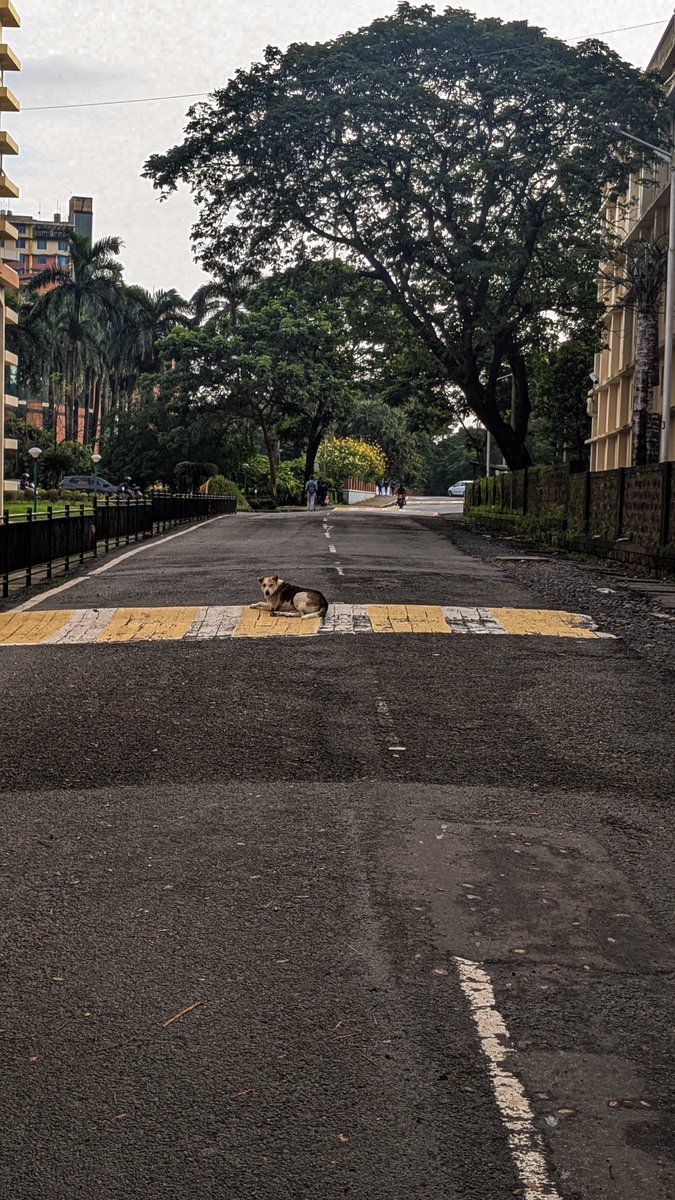 IqbalAzam9's tweet photo. If 'mere baap ka road hai' had a face https://t.co/CwIPv1JyiW