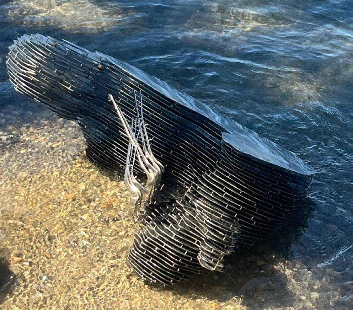 BitcoinNewsCom's tweet image. JUST IN: The Satoshi statue has been found on the 🇨🇭 Lugano waterfront 😮

Speculation suggests the vandalism may have been the work of local youth or gang-related activity.

Via @sbaaaam21