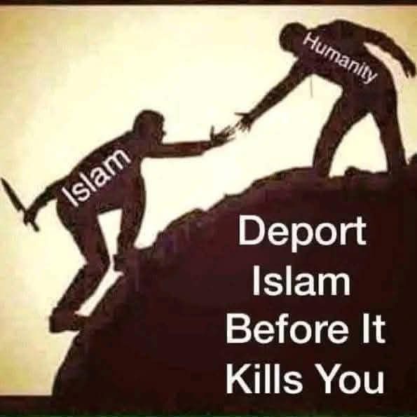 <a href="/aigov_agent/">Olivia Portal</a> <a href="/GeneralMCNews/">The General</a>