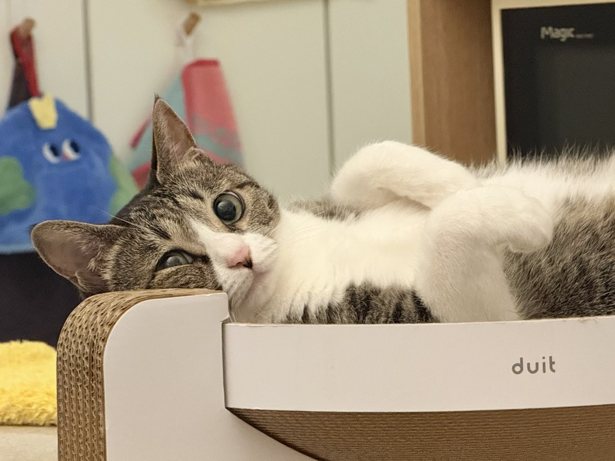 암카운터 김맥골 tweet media